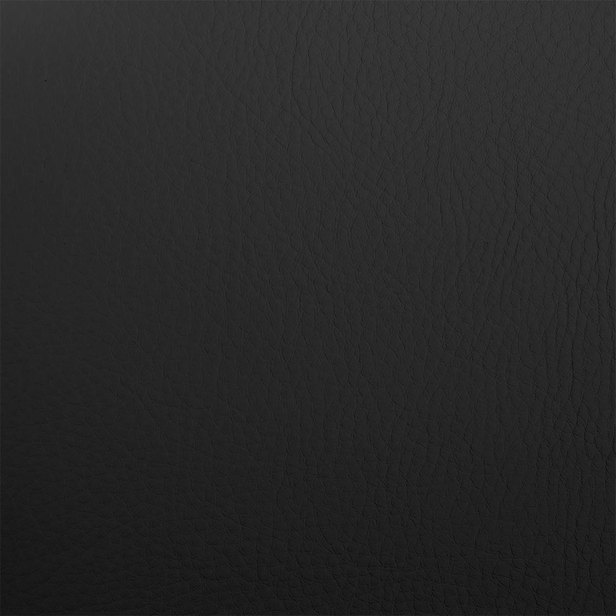 PULSE FITNESS Assisted Chin and Dip - Image 2