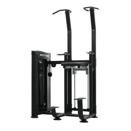 FFITTECH (Dual) Assisted Chin-dip