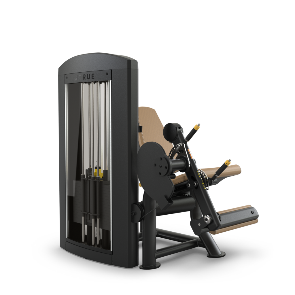 TRUE FITNESS SPL-0100 Seated Leg Extension - Image 2