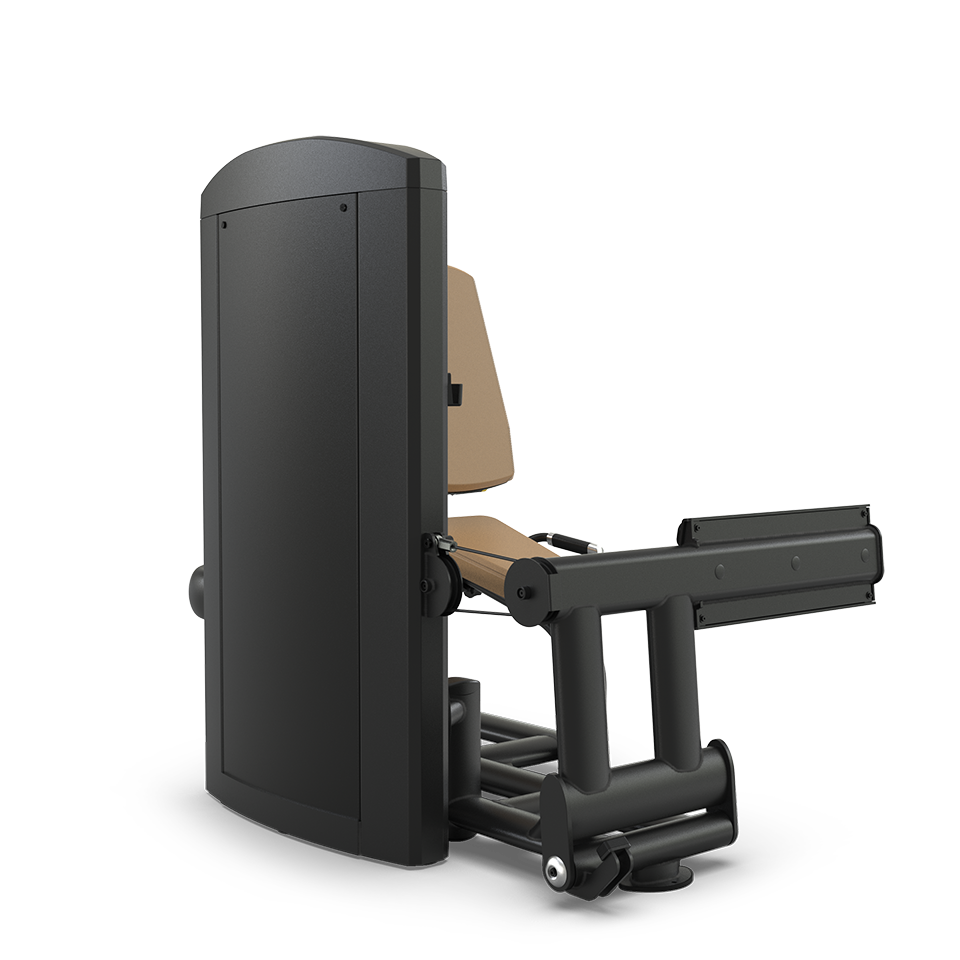 TRUE FITNESS SPL-1600 Rotary Calf - Image 2