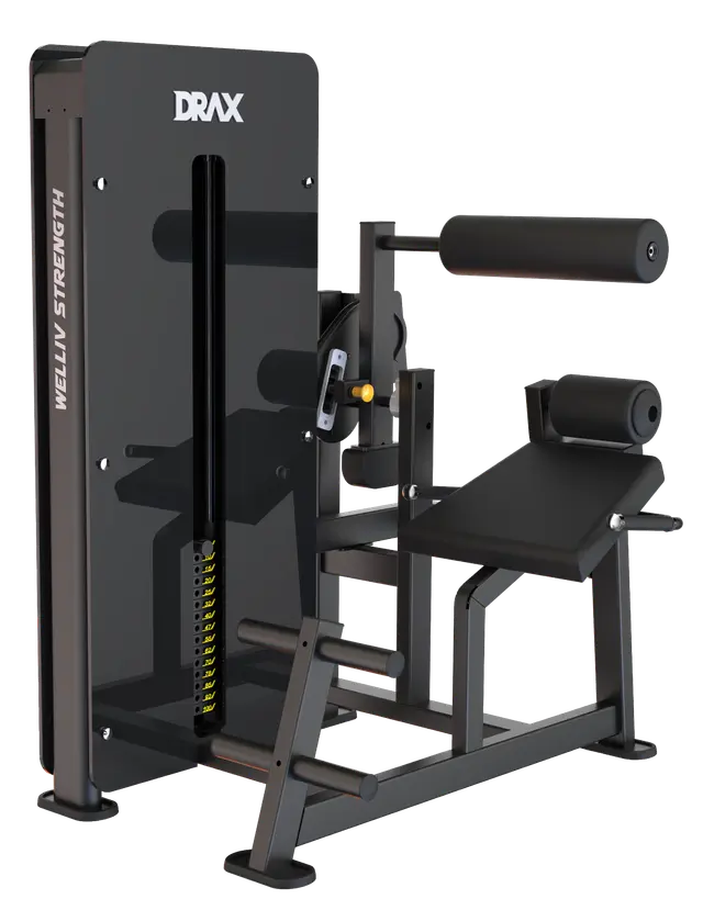 DRAXFIT Welliv Pro Back extension