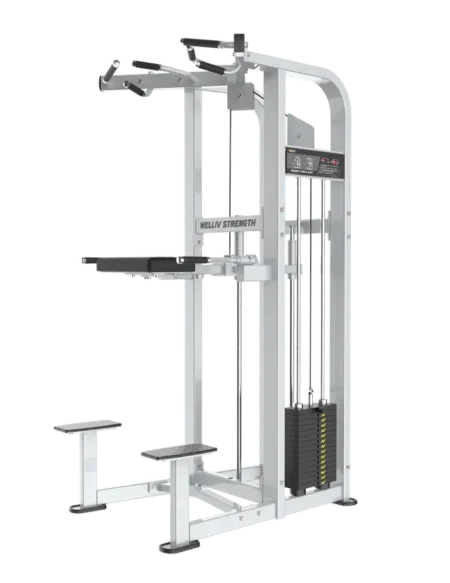 DRAXFIT Welliv Assist chin/dip