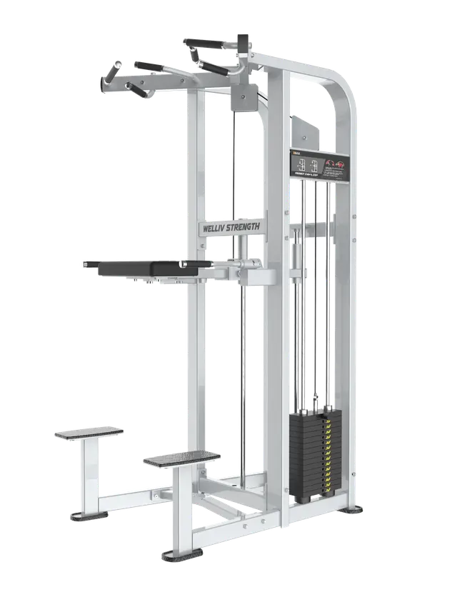 DRAXFIT Welliv Assist chin/dip